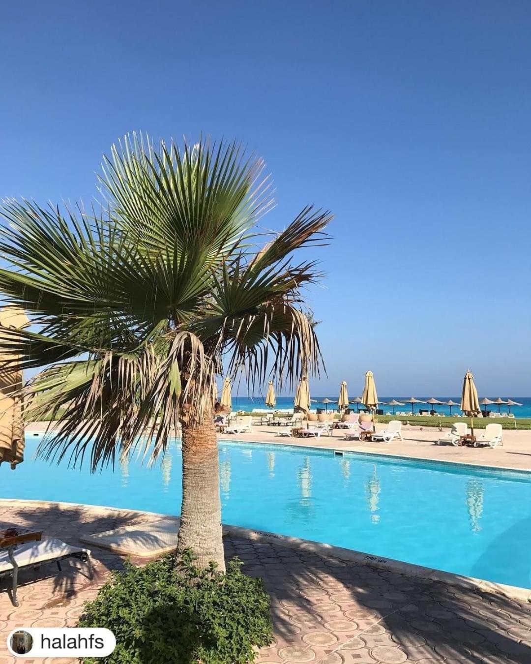 Borg El Arab Beach Hotel 5*